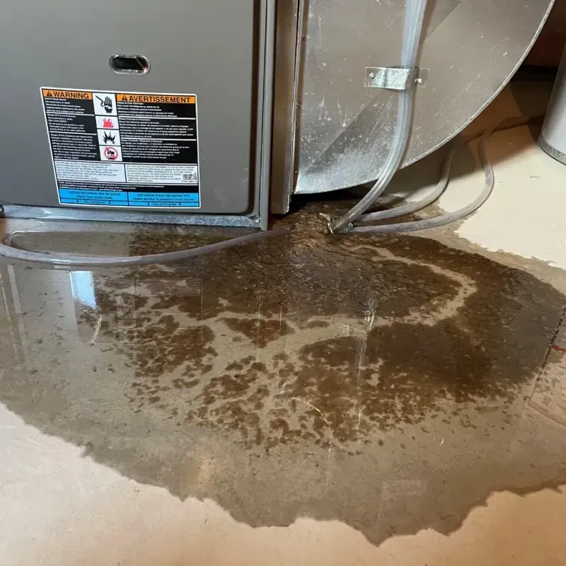 Appliance Leak Cleanup in Bingham County, ID